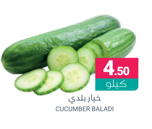 Cucumber available at Muntazah Markets in KSA, Saudi Arabia, Saudi - Qatif