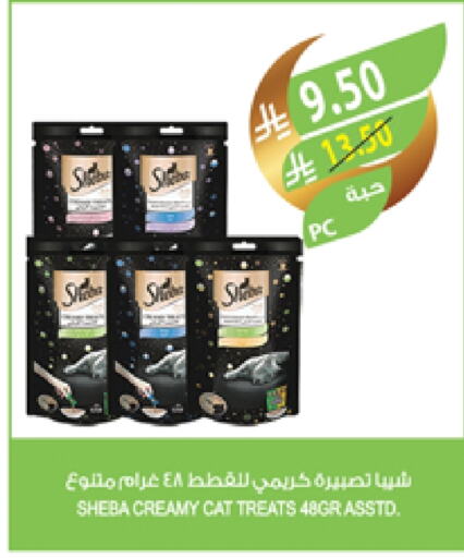 available at Farm  in KSA, Saudi Arabia, Saudi - Najran