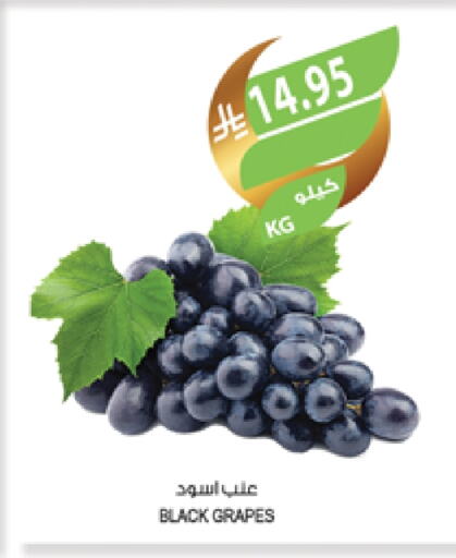 Grapes available at Farm  in KSA, Saudi Arabia, Saudi - Qatif