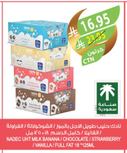 NADEC Long Life / UHT Milk available at Farm  in KSA, Saudi Arabia, Saudi - Dammam