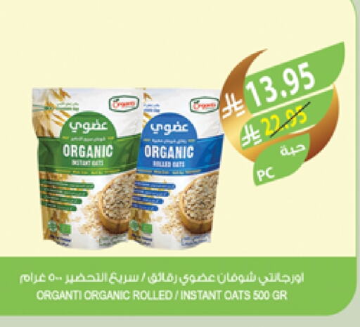 Oats available at Farm  in KSA, Saudi Arabia, Saudi - Khafji