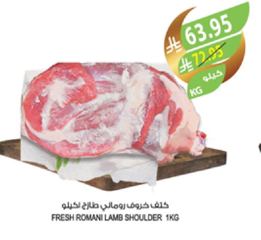 Mutton / Lamb available at Farm  in KSA, Saudi Arabia, Saudi - Yanbu