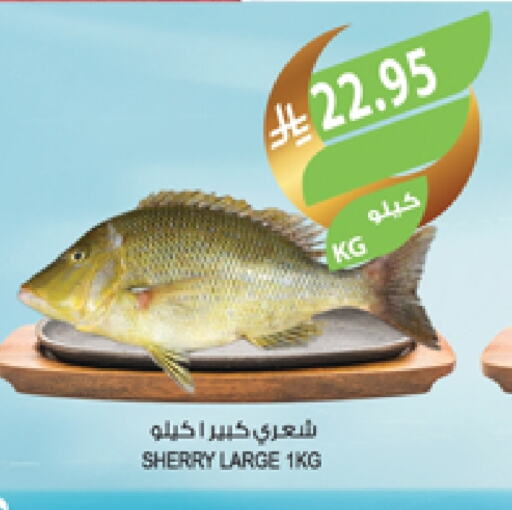 available at Farm  in KSA, Saudi Arabia, Saudi - Al Khobar