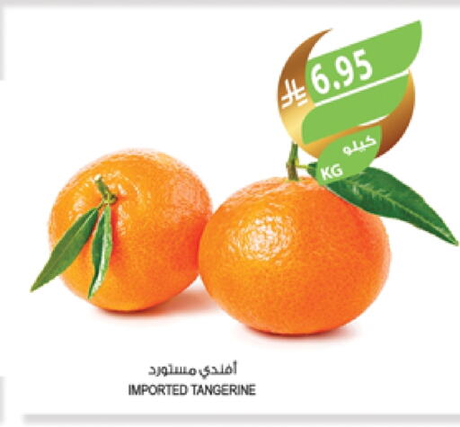 Orange available at Farm  in KSA, Saudi Arabia, Saudi - Al Bahah