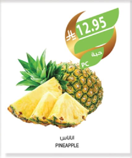 Pineapple available at Farm  in KSA, Saudi Arabia, Saudi - Sakaka