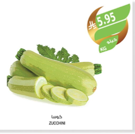 Zucchini available at Farm  in KSA, Saudi Arabia, Saudi - Jazan