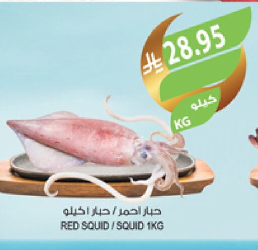 available at المزرعة in مملكة العربية السعودية, السعودية, سعودية - الخرج