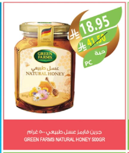 Honey available at Farm  in KSA, Saudi Arabia, Saudi - Al Bahah