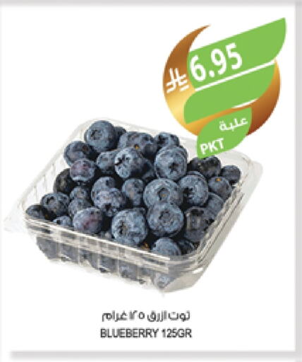 Berries available at Farm  in KSA, Saudi Arabia, Saudi - Khafji