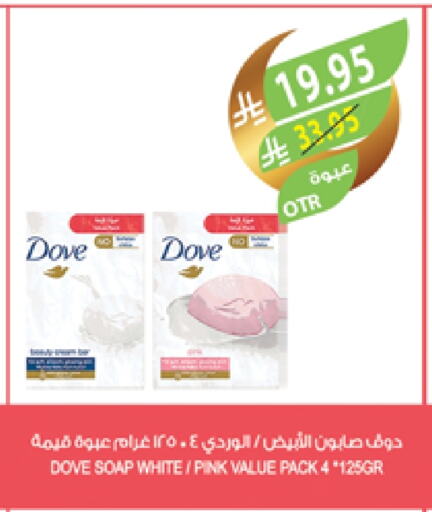 DOVE available at Farm  in KSA, Saudi Arabia, Saudi - Jazan