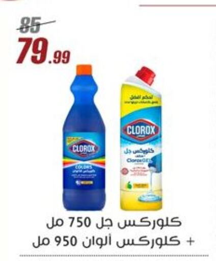 CLOROX General Cleaner available at Al Morshedy  in Egypt - Cairo