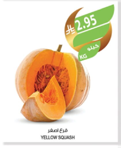 Squash available at Farm  in KSA, Saudi Arabia, Saudi - Al Hasa