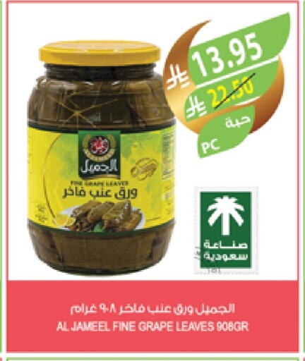 AL JAMEEL available at Farm  in KSA, Saudi Arabia, Saudi - Qatif