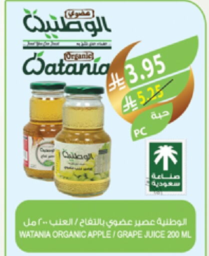 Apple available at المزرعة in مملكة العربية السعودية, السعودية, سعودية - ينبع