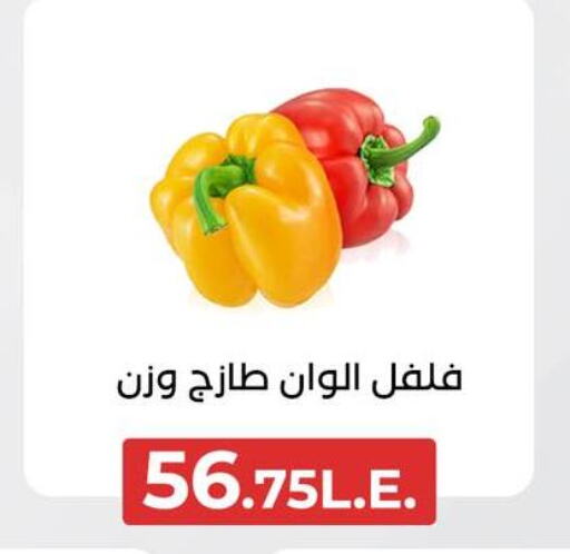 فلفل / فليفلة available at عرفة ماركت in Egypt - القاهرة