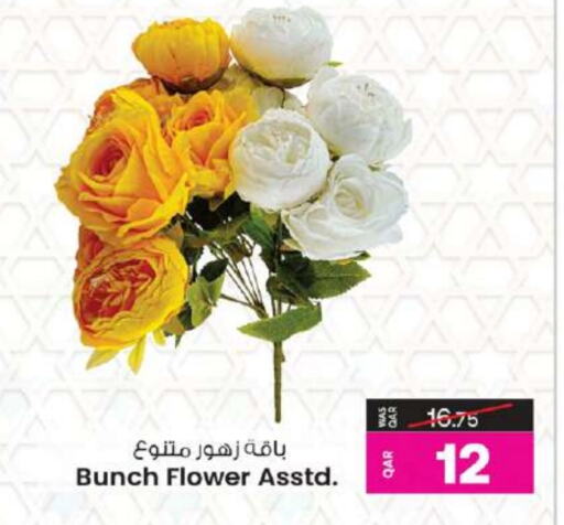 available at أنصار جاليري in قطر - الضعاين