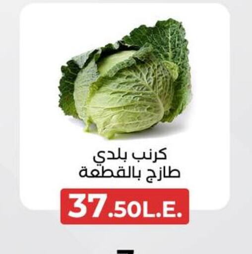 Cabbage available at Arafa Market in Egypt - Cairo