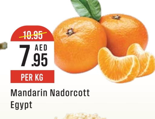 برتقال from Egypt available at ويست زون سوبرماركت in الإمارات العربية المتحدة , الامارات - دبي