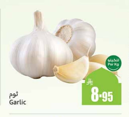 Garlic available at Othaim Markets in KSA, Saudi Arabia, Saudi - Al Duwadimi