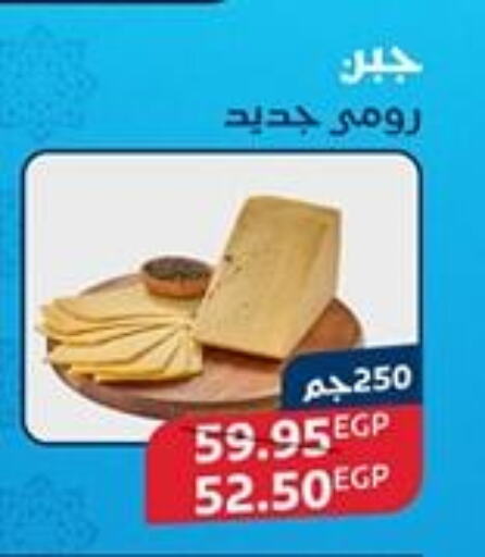 available at اكسبشن ماركت in Egypt - القاهرة