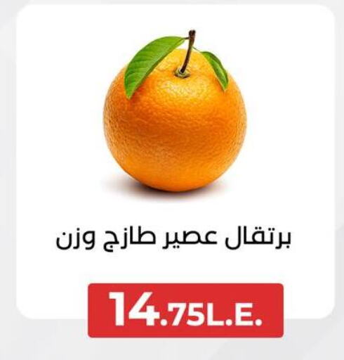 Orange available at Arafa Market in Egypt - Cairo