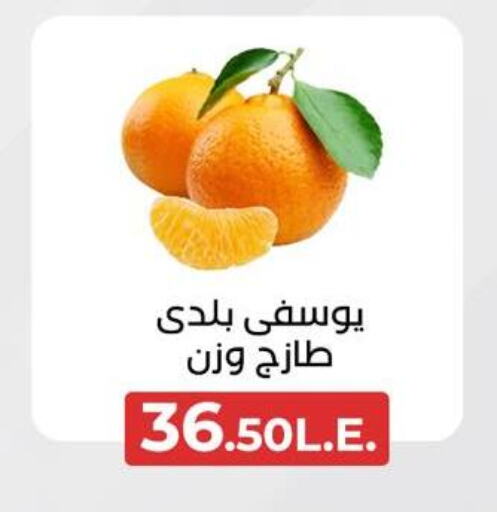 برتقال available at عرفة ماركت in Egypt - القاهرة