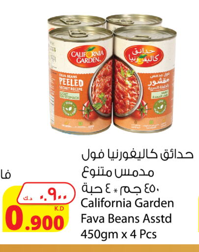 CALIFORNIA GARDEN Fava Beans available at Agricultural Food Products Co. in Kuwait - Ahmadi Governorate