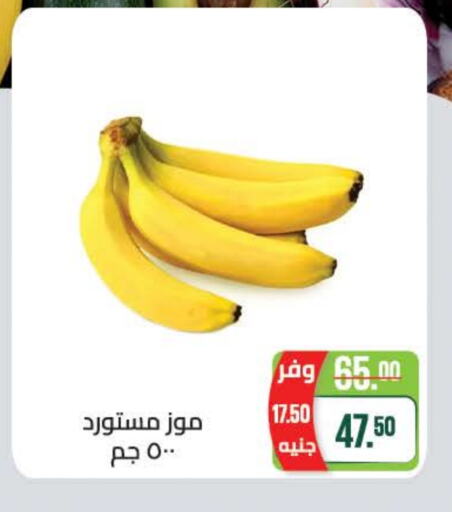 Banana available at Seoudi Supermarket in Egypt - Cairo