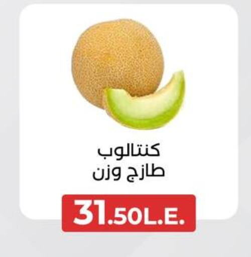 available at عرفة ماركت in Egypt - القاهرة