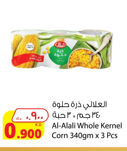 العلالي available at شركة المنتجات الزراعية الغذائية in الكويت - مدينة الكويت