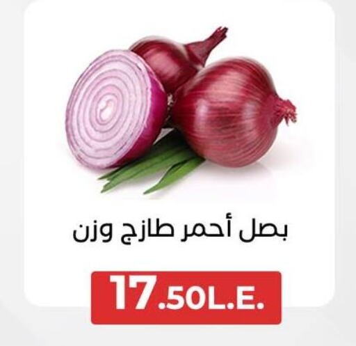 Onion available at Arafa Market in Egypt - Cairo