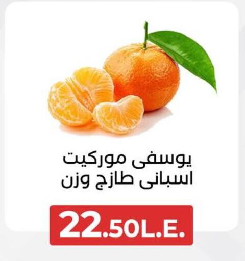 برتقال available at عرفة ماركت in Egypt - القاهرة