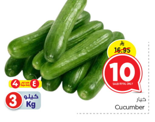 Cucumber from Saudi Arabia available at Nesto in KSA, Saudi Arabia, Saudi - Al-Kharj