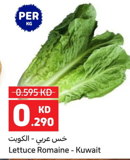 Lettuce from Kuwait available at كارفور in الكويت - مدينة الكويت