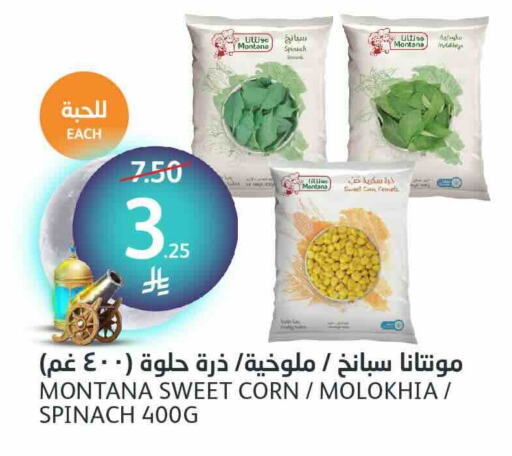 Spinach available at مركز الجزيرة للتسوق in مملكة العربية السعودية, السعودية, سعودية - الرياض