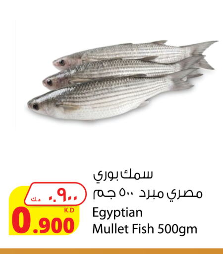 available at شركة المنتجات الزراعية الغذائية in الكويت - محافظة الأحمدي