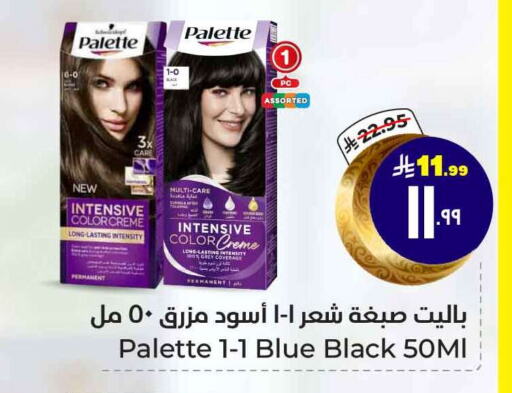 PALETTE Hair Colour available at Hyper Al Wafa in KSA, Saudi Arabia, Saudi - Ta'if