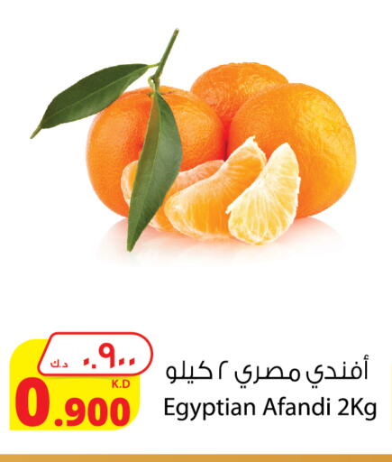 Orange from Egypt available at Agricultural Food Products Co. in Kuwait - Ahmadi Governorate