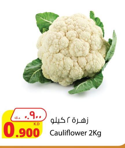 Cauliflower available at Agricultural Food Products Co. in Kuwait - Jahra Governorate