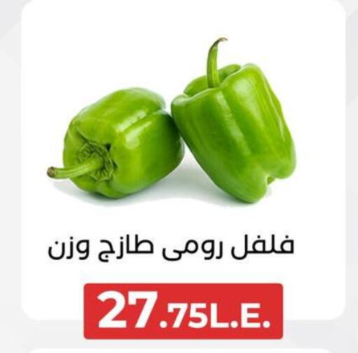 فلفل / فليفلة available at عرفة ماركت in Egypt - القاهرة