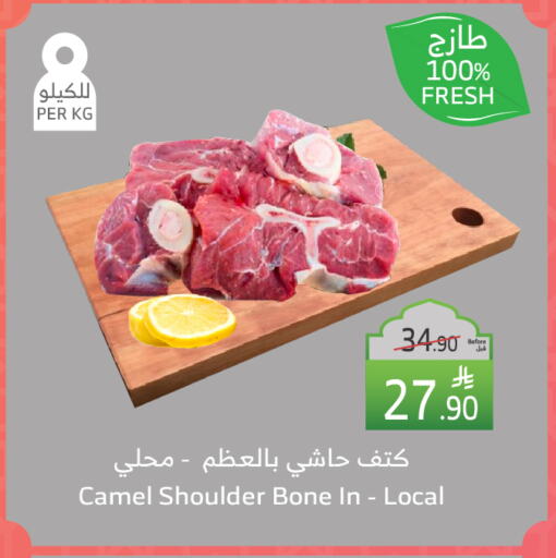 Camel meat available at Al Raya in KSA, Saudi Arabia, Saudi - Tabuk