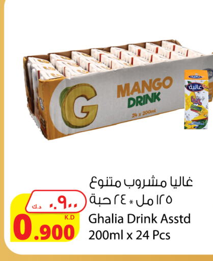 Mango available at Agricultural Food Products Co. in Kuwait - Kuwait City