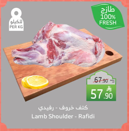 لحم الضأن / الغنم available at الراية in مملكة العربية السعودية, السعودية, سعودية - خميس مشيط