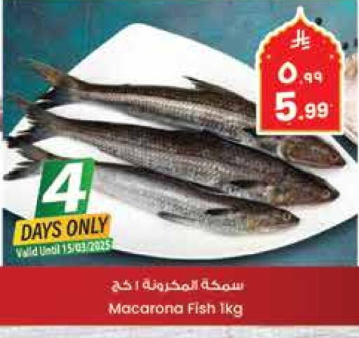 available at City Flower in KSA, Saudi Arabia, Saudi - Jubail