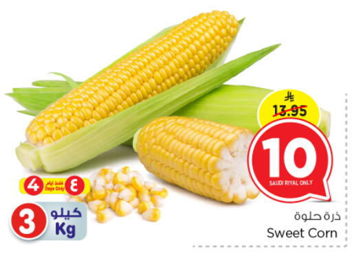 from Saudi Arabia available at نستو in مملكة العربية السعودية, السعودية, سعودية - المجمعة