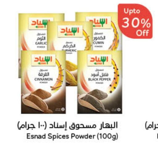 Garlic Cumin Cinnamon Pepper available at Hyper Panda in KSA, Saudi Arabia, Saudi - Wadi ad Dawasir