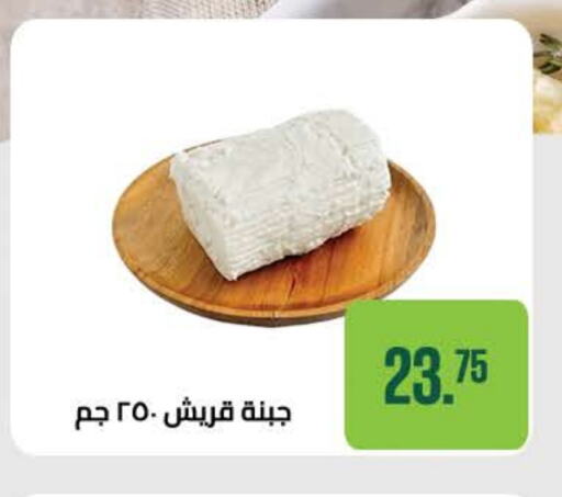 available at Seoudi Supermarket in Egypt - Cairo