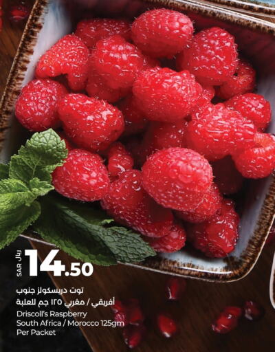 Berries from South Africa Morocco available at LULU Hypermarket in KSA, Saudi Arabia, Saudi - Dammam