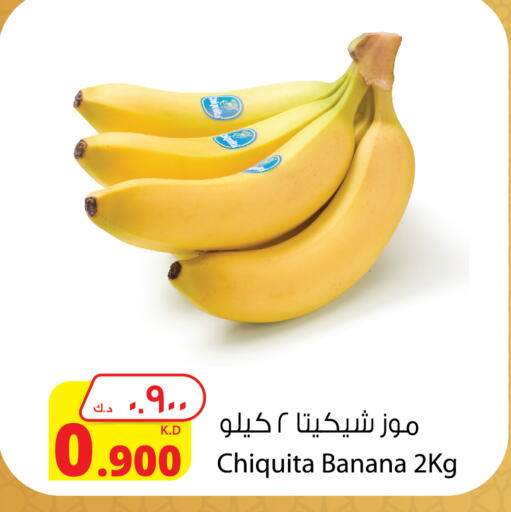 Banana available at Agricultural Food Products Co. in Kuwait - Ahmadi Governorate