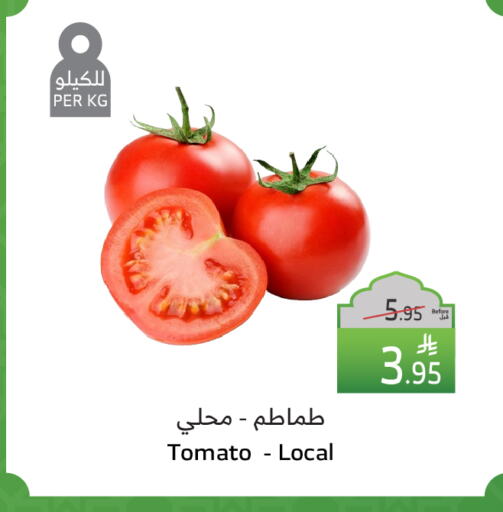 Tomato available at Al Raya in KSA, Saudi Arabia, Saudi - Medina